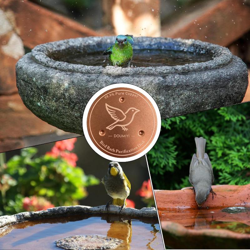 バードバス銅ディスク銅製クリーニングディスクフィーダーアクセ - Bath のレビューと価格