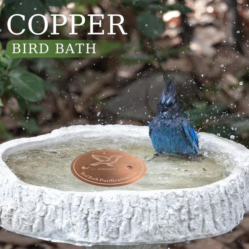 バードバス銅ディスク銅製クリーニングディスクフィーダーアクセ - Bath のレビューと価格